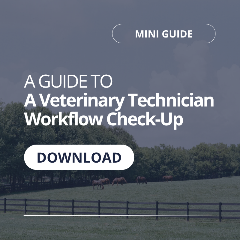 A Guide to A Veterinary Technician Workflow Check-Up (mini guide)