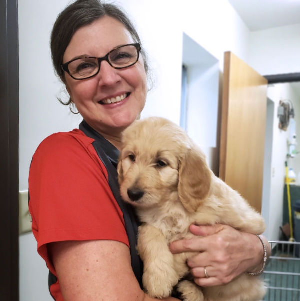 Community Veterinary Clinic team member holding a puppy