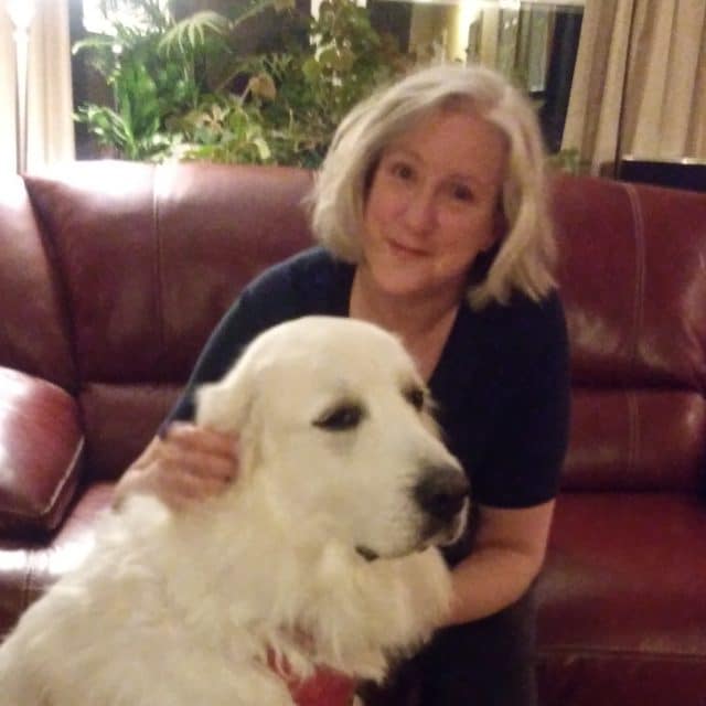 Susan Bradshaw, SHRM-CP, PHR