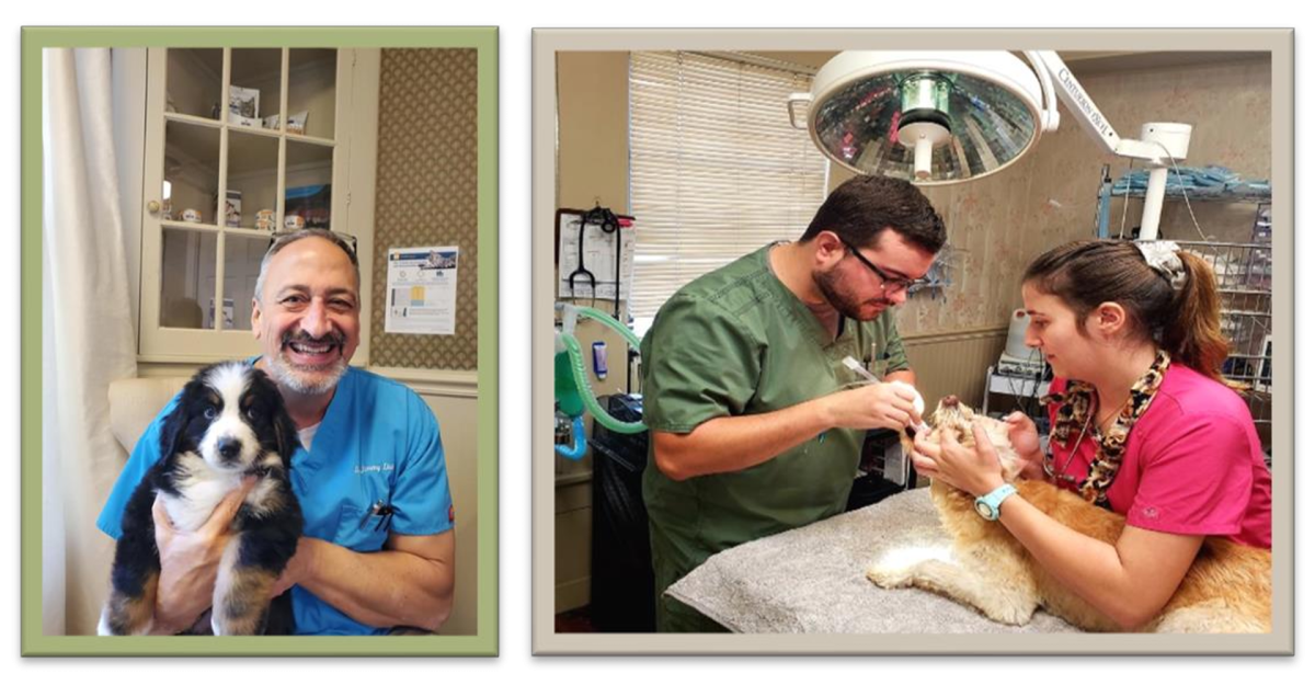 Family Pet Care Blue Heron Consulting