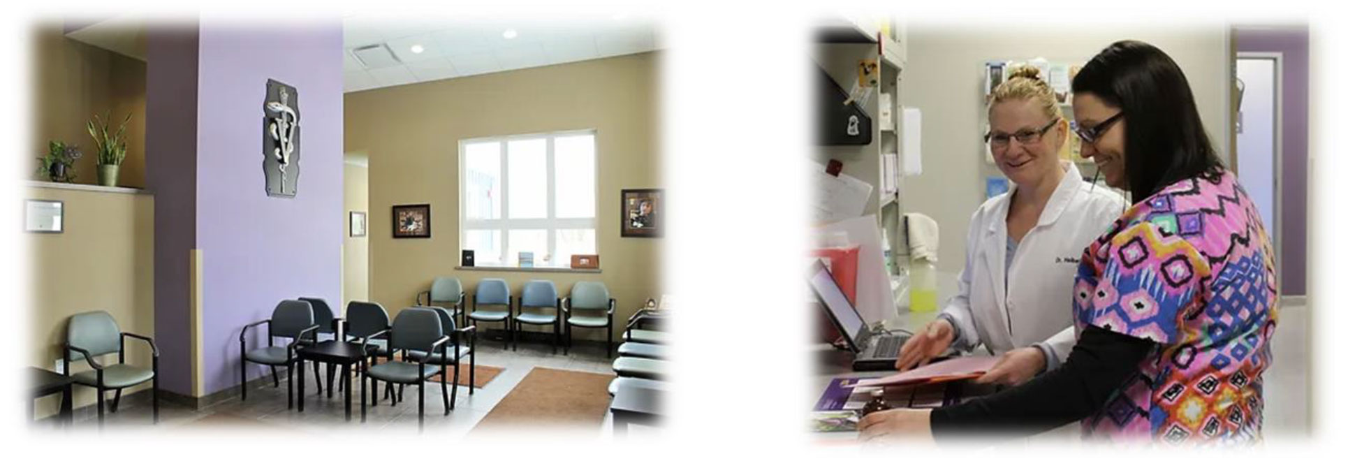 Memorial Animal Hospital Blue Heron Consulting