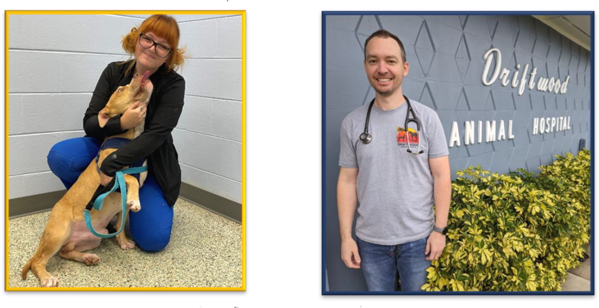 Driftwood Animal Hospital Blue Heron Consulting