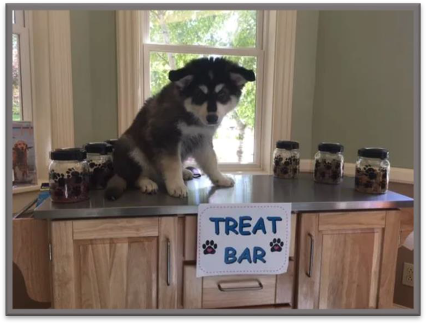 Fredonia Veterinary Clinic Blue Heron Consulting