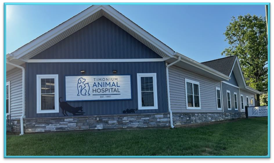 Timonium Animal Hospital - Blue Heron Consulting