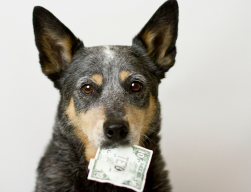 Should Veterinary Hospitals Reduce Prices?