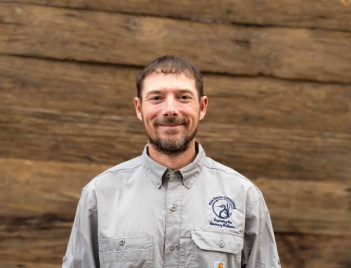 Leveraging Communication Styles to Effectively Communicate with Bosses and Peers