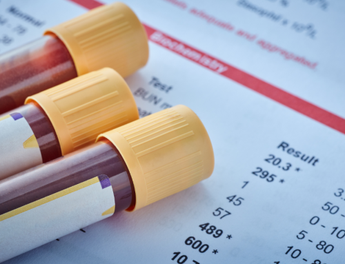 Veterinary KPIs: Why You Should “Run Annual Blood Work” on Your Business