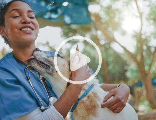 Empower Your Team, Elevate Your Practice