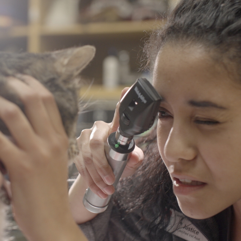 Feasibility Study – Website Page Photo