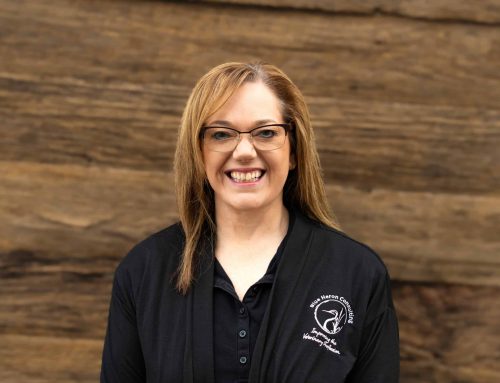 Solving the Loyalty Gap: Why Rewards Outperform Discounts