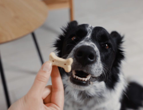 Solving the Loyalty Gap: Why Rewards Outperform Discounts