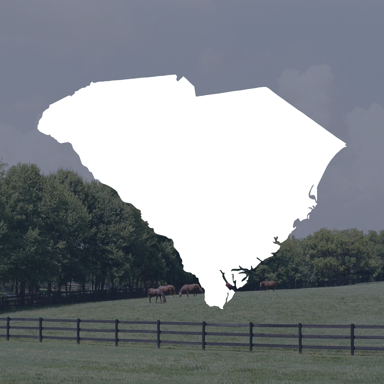 Case Study Graphics – South Carolina